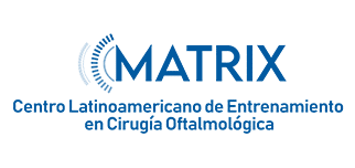matrix logo Mesa de trabajo